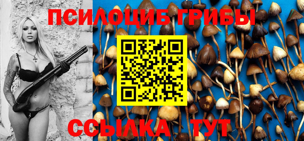 Псилоцибиновые грибы MAGIC MUSHROOMS Гусь-Хрустальный