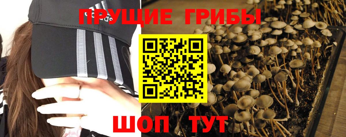 Гусь-Хрустальный  Псилоцибиновые грибы Psilocybine cubensis  Вход с VPN 